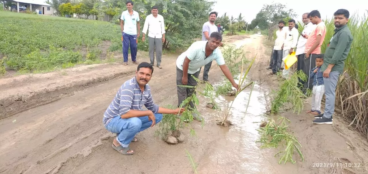 रस्त्यातील खड्ड्यात वृक्षारोपण करत नागरिकांची गांधीगिरी