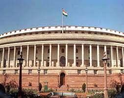 Parliament session: शेतकरी आंदोलनाला पाठिंबा देणाऱ्या NRI चा विमानतळावर छळ करण्यात आला का? खासदाराने विचारलेला प्रश्न सरकारने वगळला