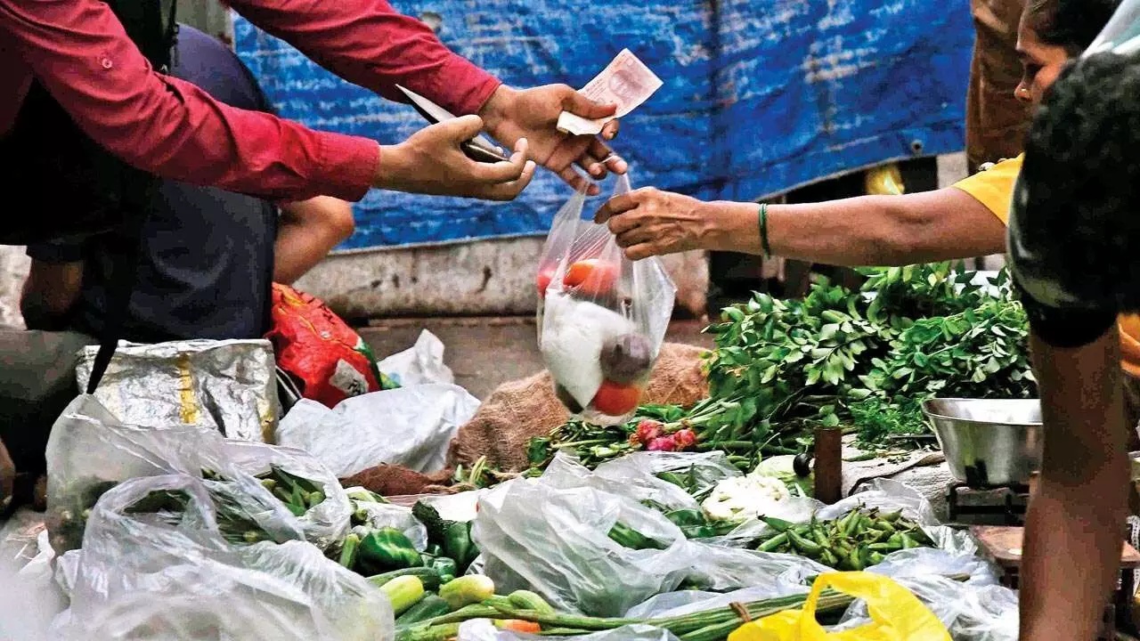 साडेतीन वर्षात पावणेदोन लाख किलो प्लॅस्टिक जप्त, मुंबई महापालिकेची कारवाई