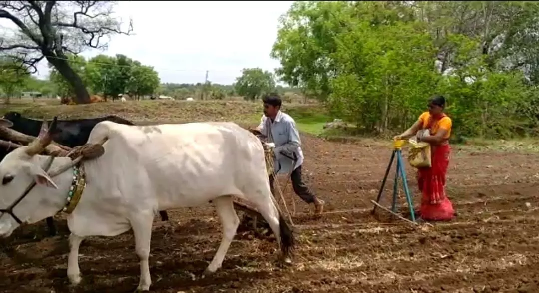 बँका कर्ज देत नाही आणि आता तर आमदराही भेटत नाही