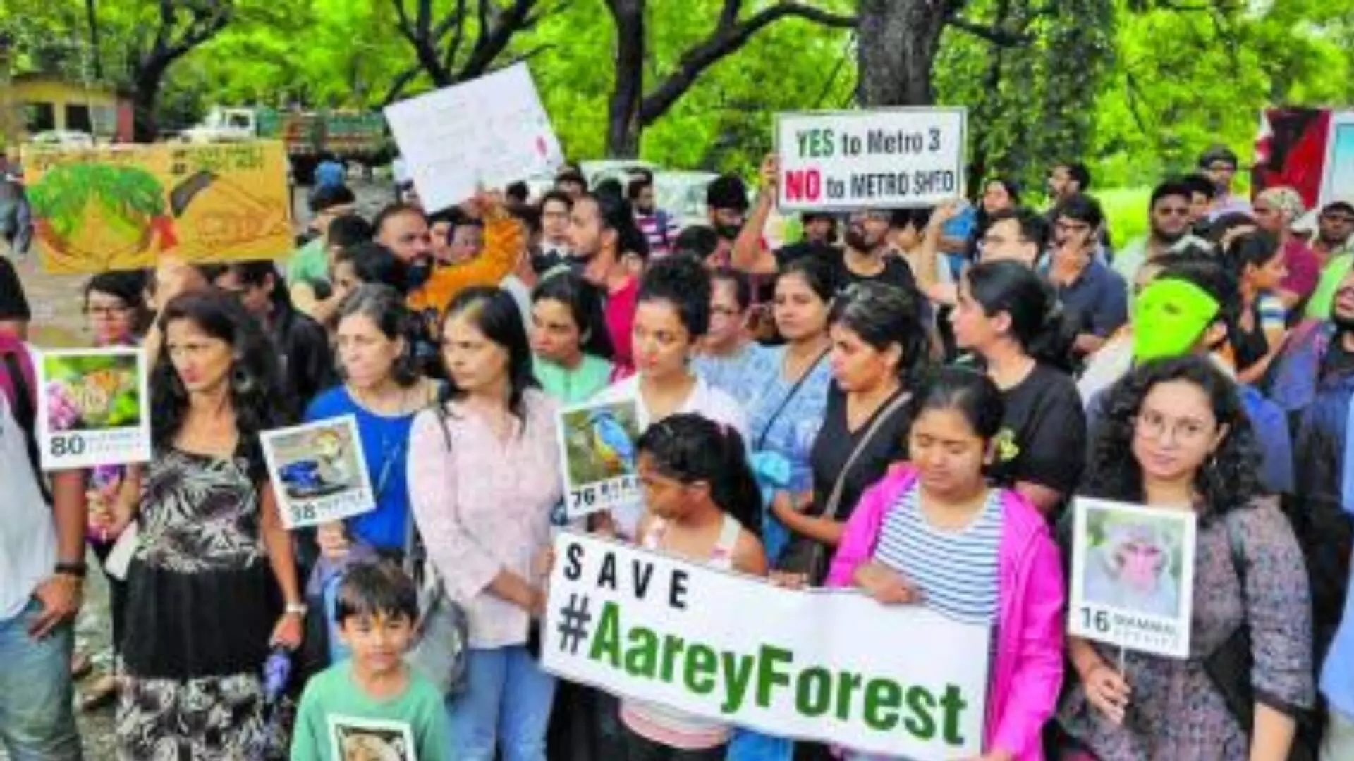 आरे मधील वृक्ष तोडीला आव्हान, सर्वोच्च न्यायालय उद्याच घेणार सुनावणी