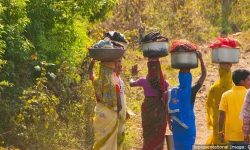 आदिवासींच्या प्रश्नावर विधानसभेत अल्पकालीन चर्चा आणि सभात्याग