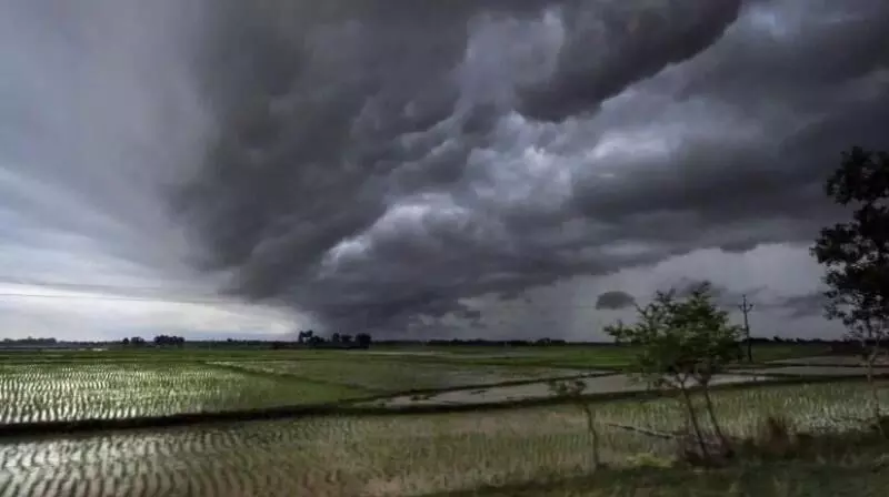 Happy news Farmers शेतकऱ्यांसाठी आनंदाची बातमी...