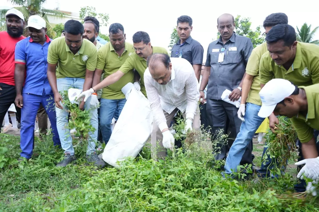 स्वच्छता हीच सेवा अभियानात नागरी भागात १६ लाखांहून अधिक नागरिकांचा उत्स्फूर्त सहभाग