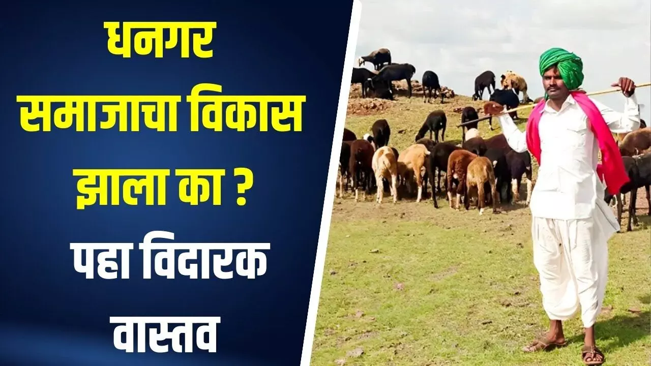 भटकंती करणाऱ्या धनगर समाजापर्यंत योजना पोहचतात का ?