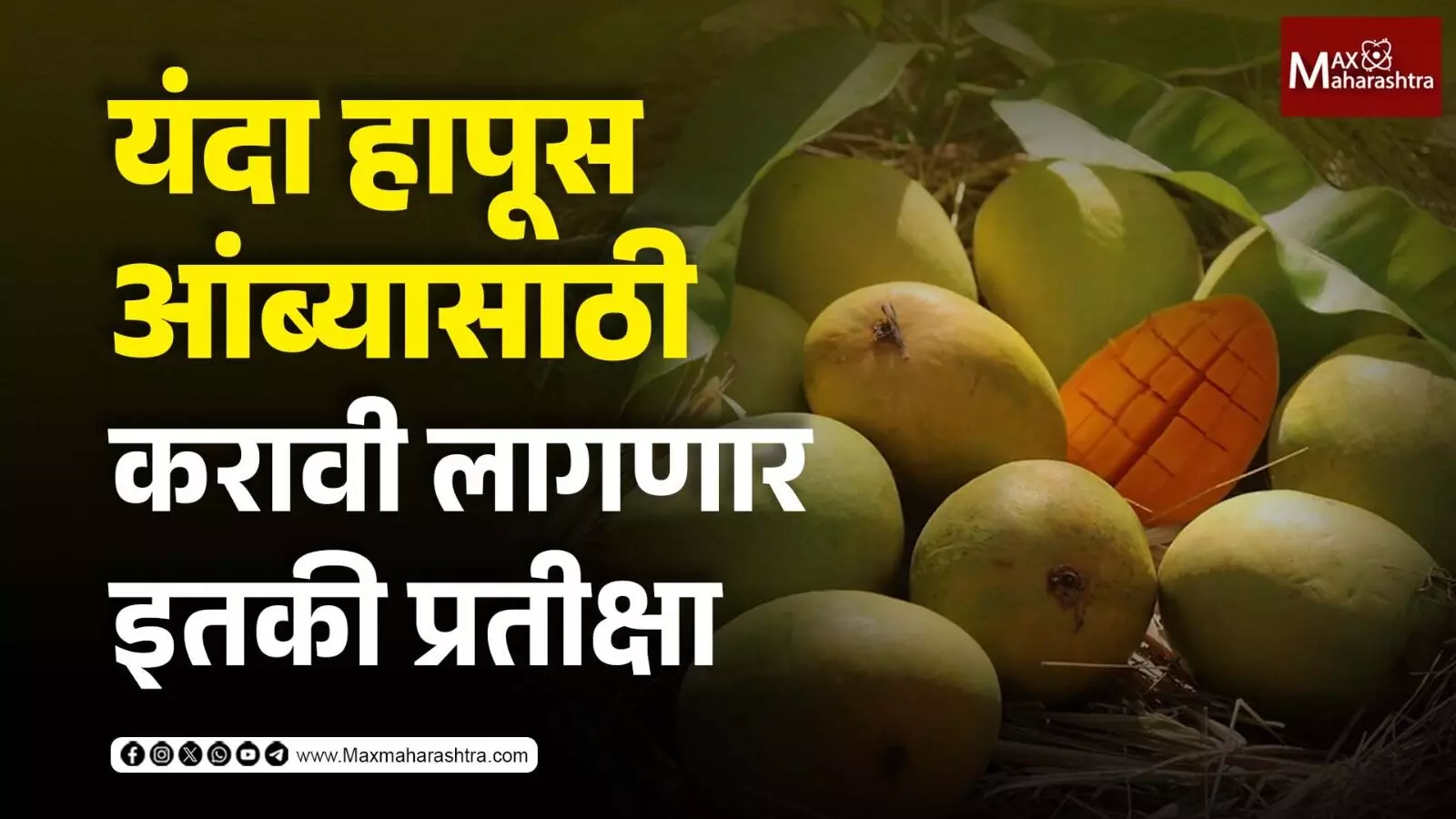 यंदा हापूस आंब्यासाठी (Alphanso mango) करावी लागणार प्रतीक्षा हे आहे कारण