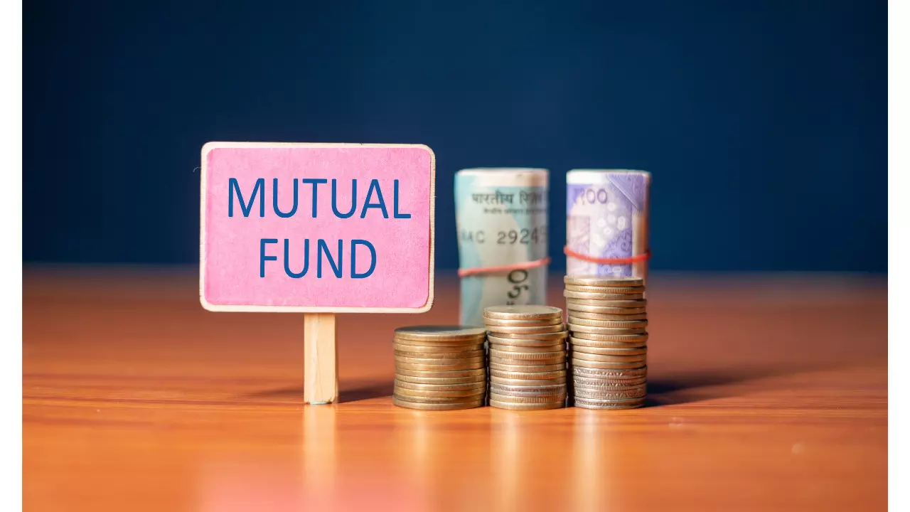 shares ,Parag Parikh Mutual Fund ,buy,Mutual Fund,maxmaharashtra, marathi news, news