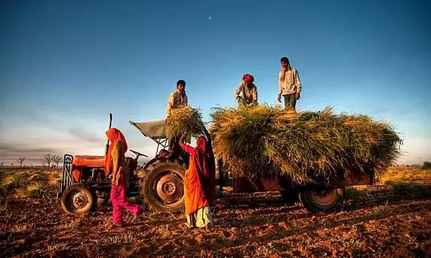 शेतीचा वाढता खर्च, हवामान बदल आणि कर्जाचा भार: शेतकऱ्यांच्या आत्महत्यांचे मूलभूत कारण....